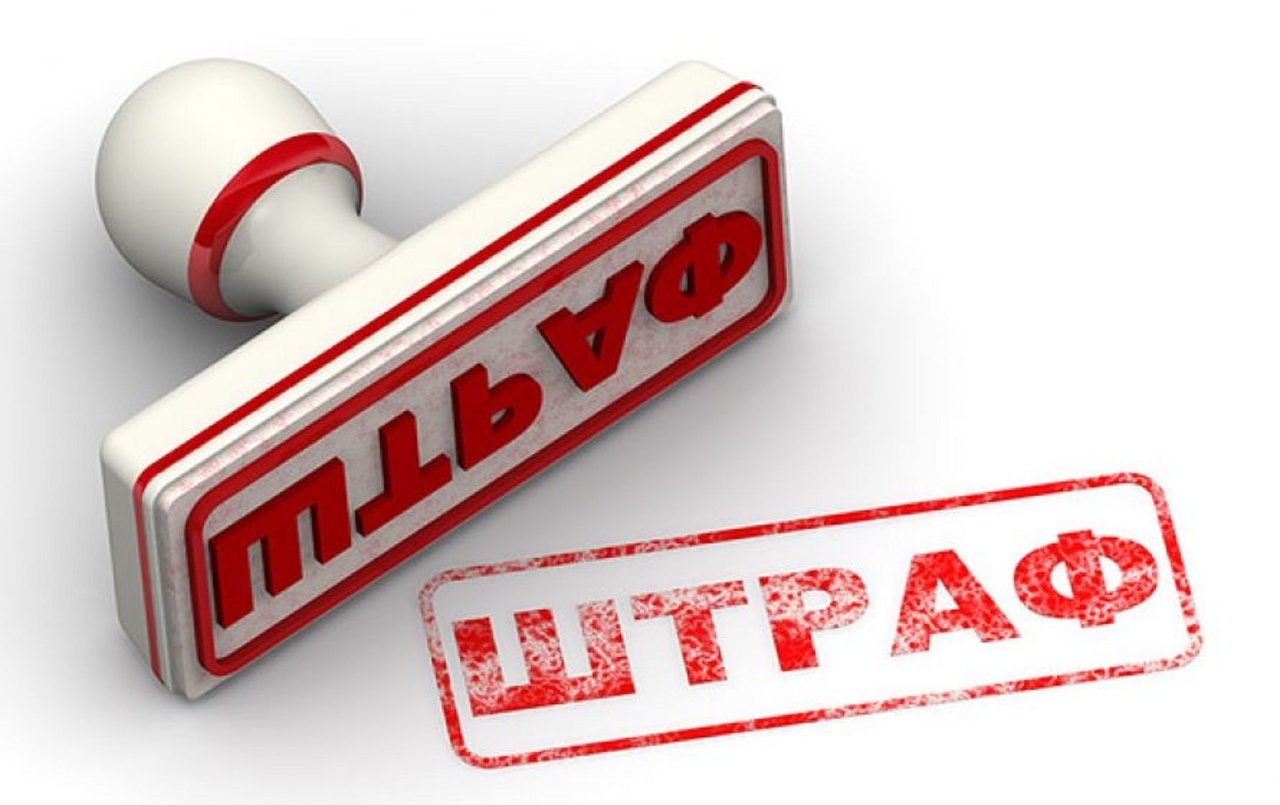 штрафы егаис лес